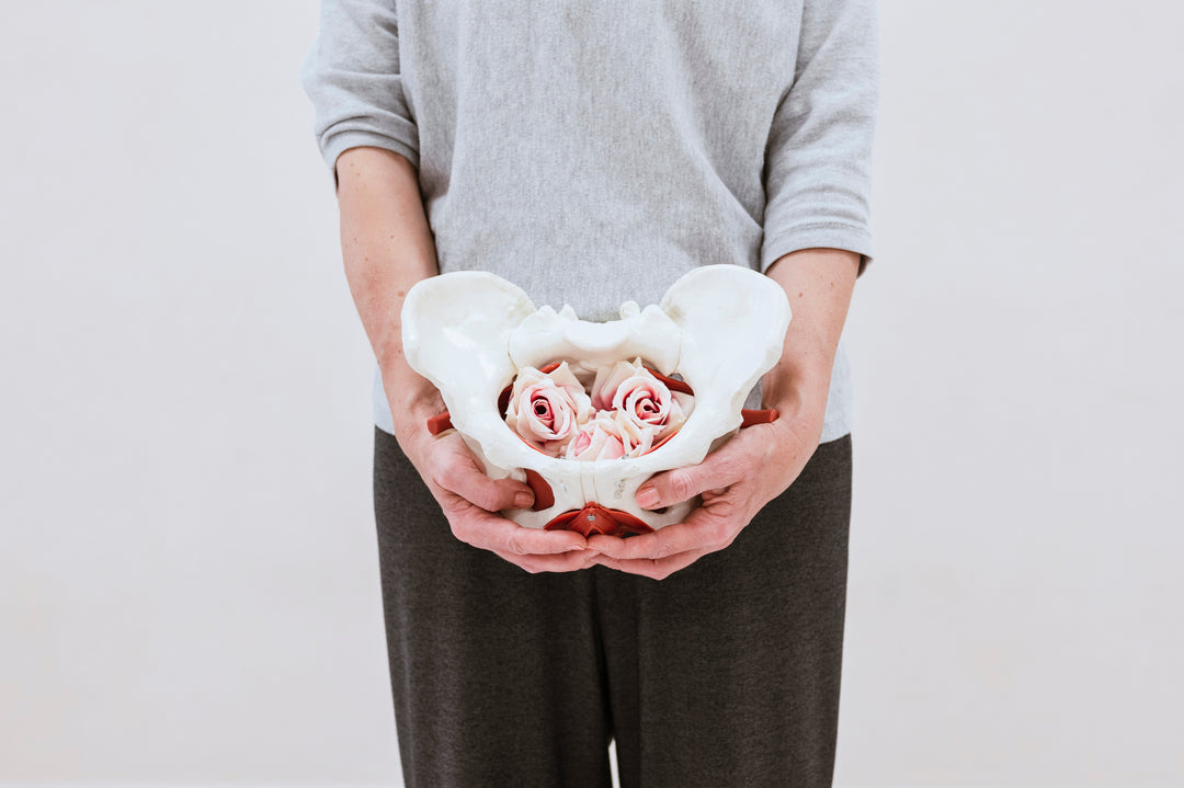 Illustration about female urinary incontinence through life's stages
