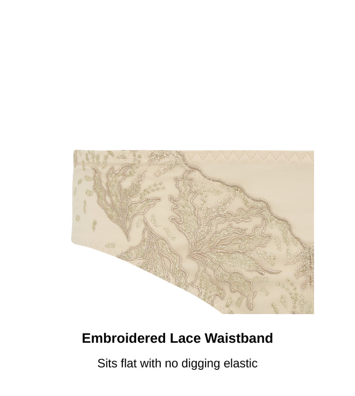 Close-up of the embroidered lace waistband on the Ashley Luxe brief in beige, no digging elastic, JulieMay Lingerie